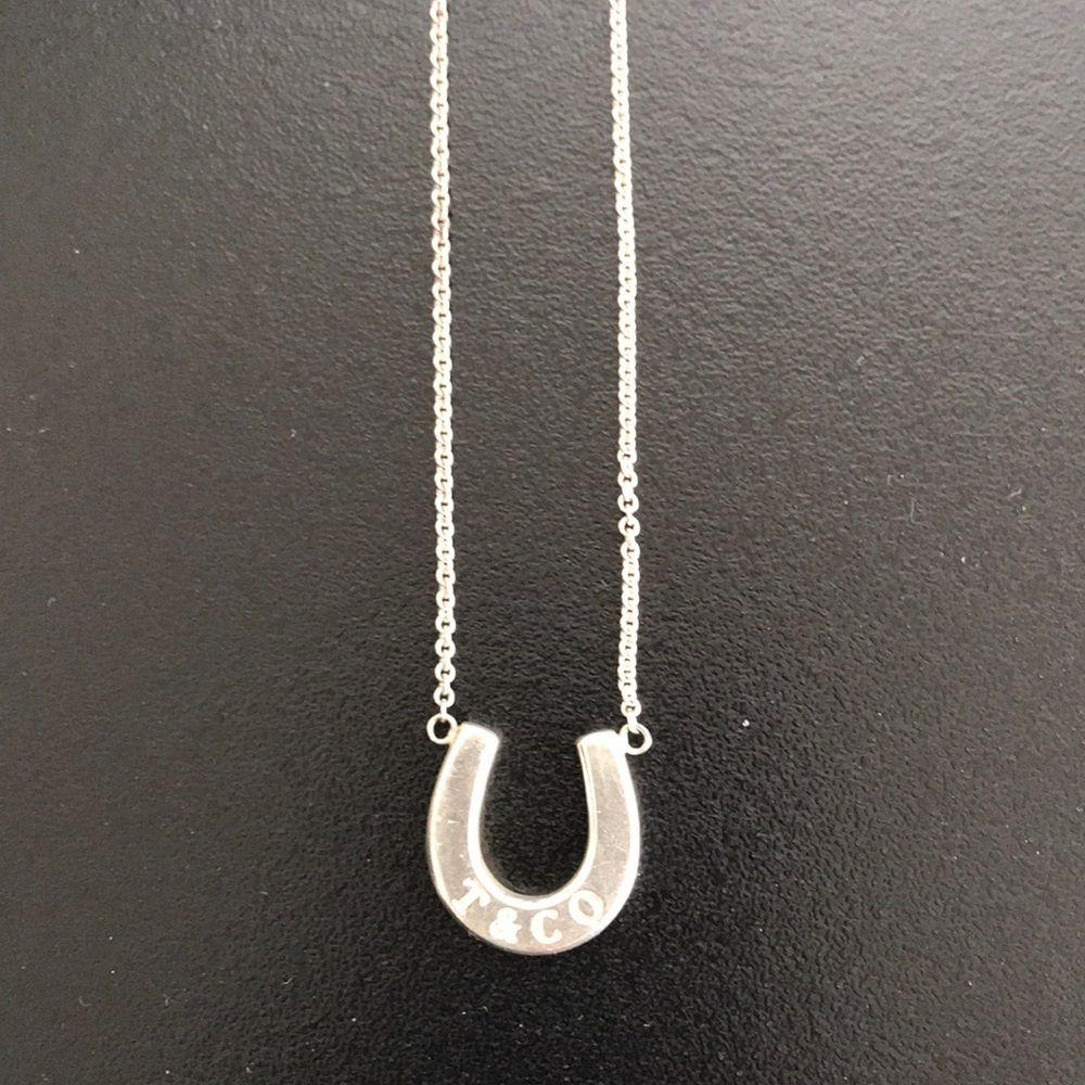 Tiffany’s Sterling Silver Horseshoe Necklace